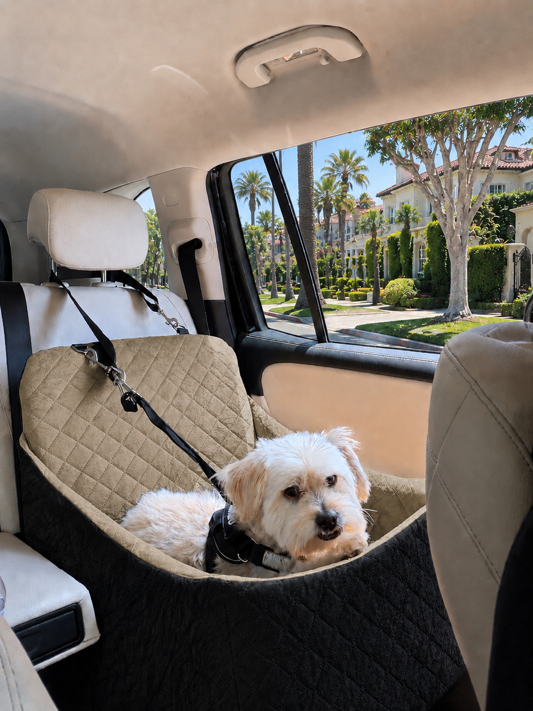 Vanity Fur concierge service